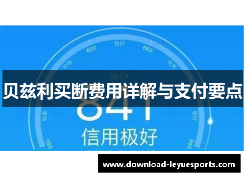 贝兹利买断费用详解与支付要点