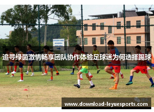 追寻绿茵激情畅享团队协作体验足球迷为何选择踢球 追寻绿茵激情畅享团队协作体验足球迷为何选择踢球