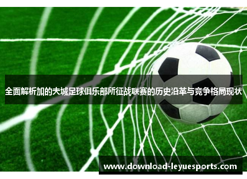 全面解析加的夫城足球俱乐部所征战联赛的历史沿革与竞争格局现状