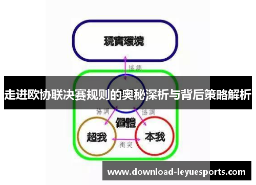 走进欧协联决赛规则的奥秘深析与背后策略解析