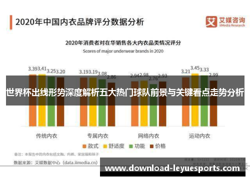 世界杯出线形势深度解析五大热门球队前景与关键看点走势分析